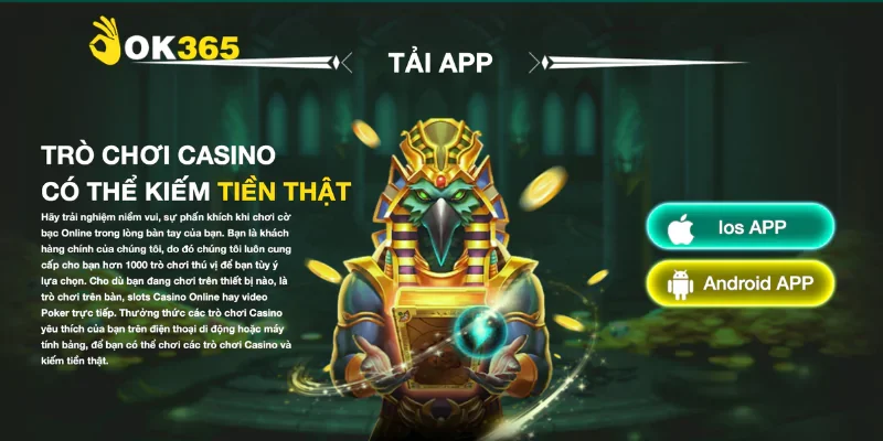 Tải app Ok365 nhanh gọn cho iOS và Android an toàn 2 Hướng dẫn tải app Ok365 cho từng hệ điều hành