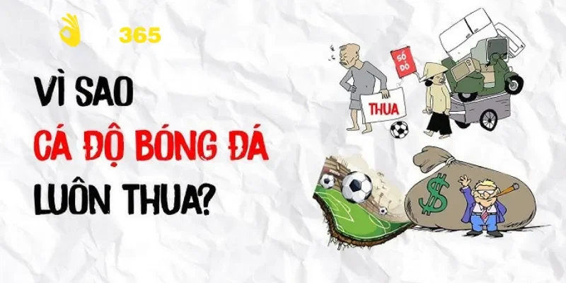 Tại sao cá độ bóng đá luôn thua và bí mật từ chuyên gia 2 Nguyên nhân chính cho việc tại sao cá độ bóng đá luôn thua